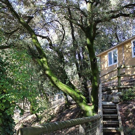 הוילה La Barriére Le Domaine Du Naizadou Chalet Lou Grilh מראה חיצוני תמונה