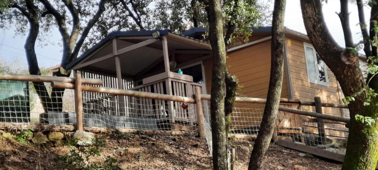 הוילה La Barriére Le Domaine Du Naizadou Chalet Lou Grilh מראה חיצוני תמונה