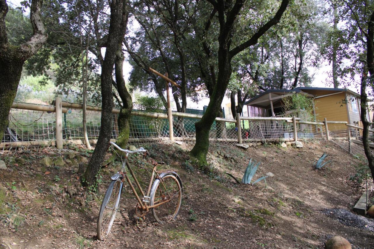 הוילה La Barriére Le Domaine Du Naizadou Chalet Lou Grilh מראה חיצוני תמונה