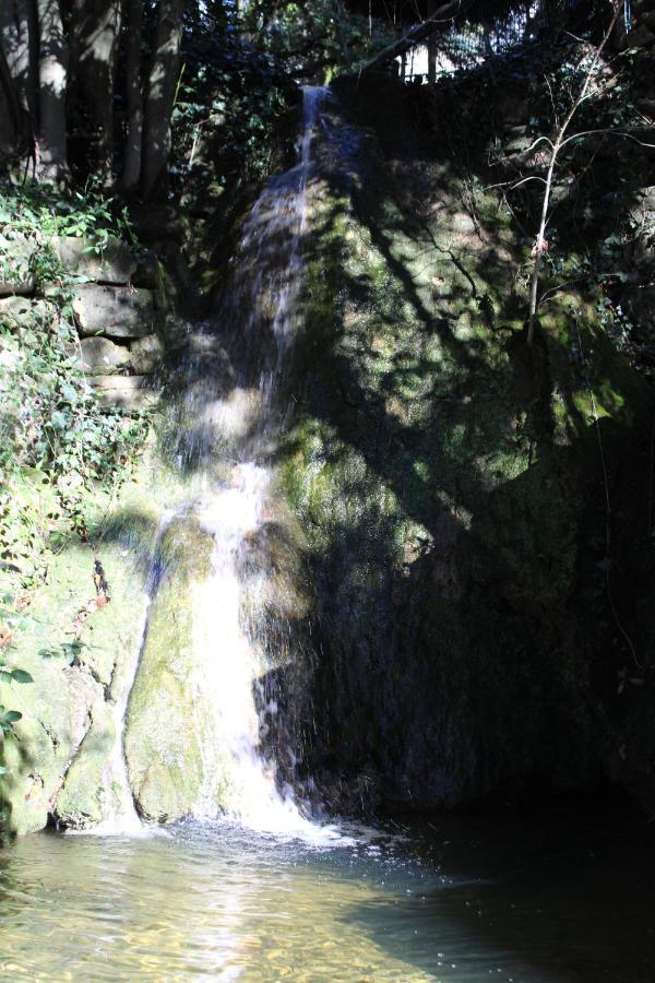 הוילה La Barriére Le Domaine Du Naizadou Chalet Lou Grilh מראה חיצוני תמונה